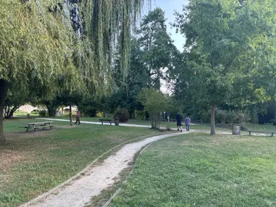 En quête du premier champignon
