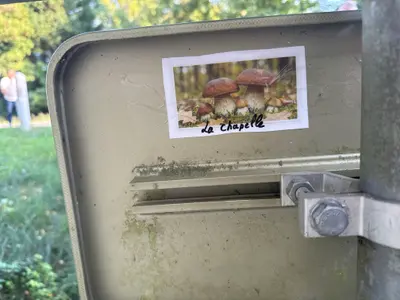 Le second ou troisième champignon 🍄